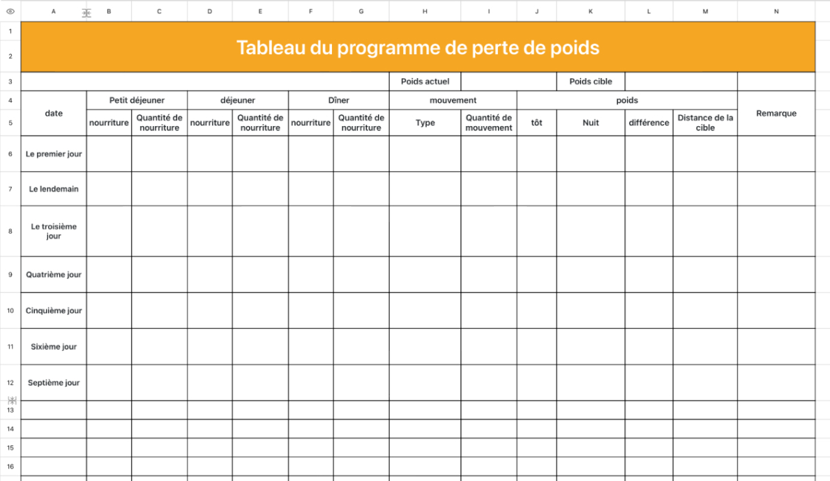 Tableau du programme de perte de poids
